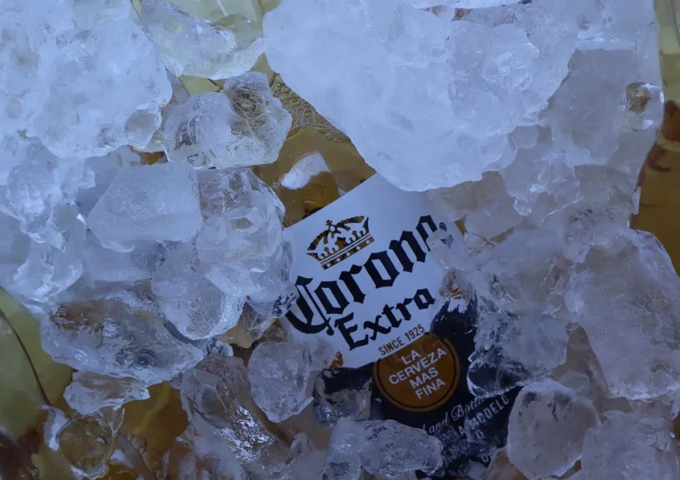 an image of a beer